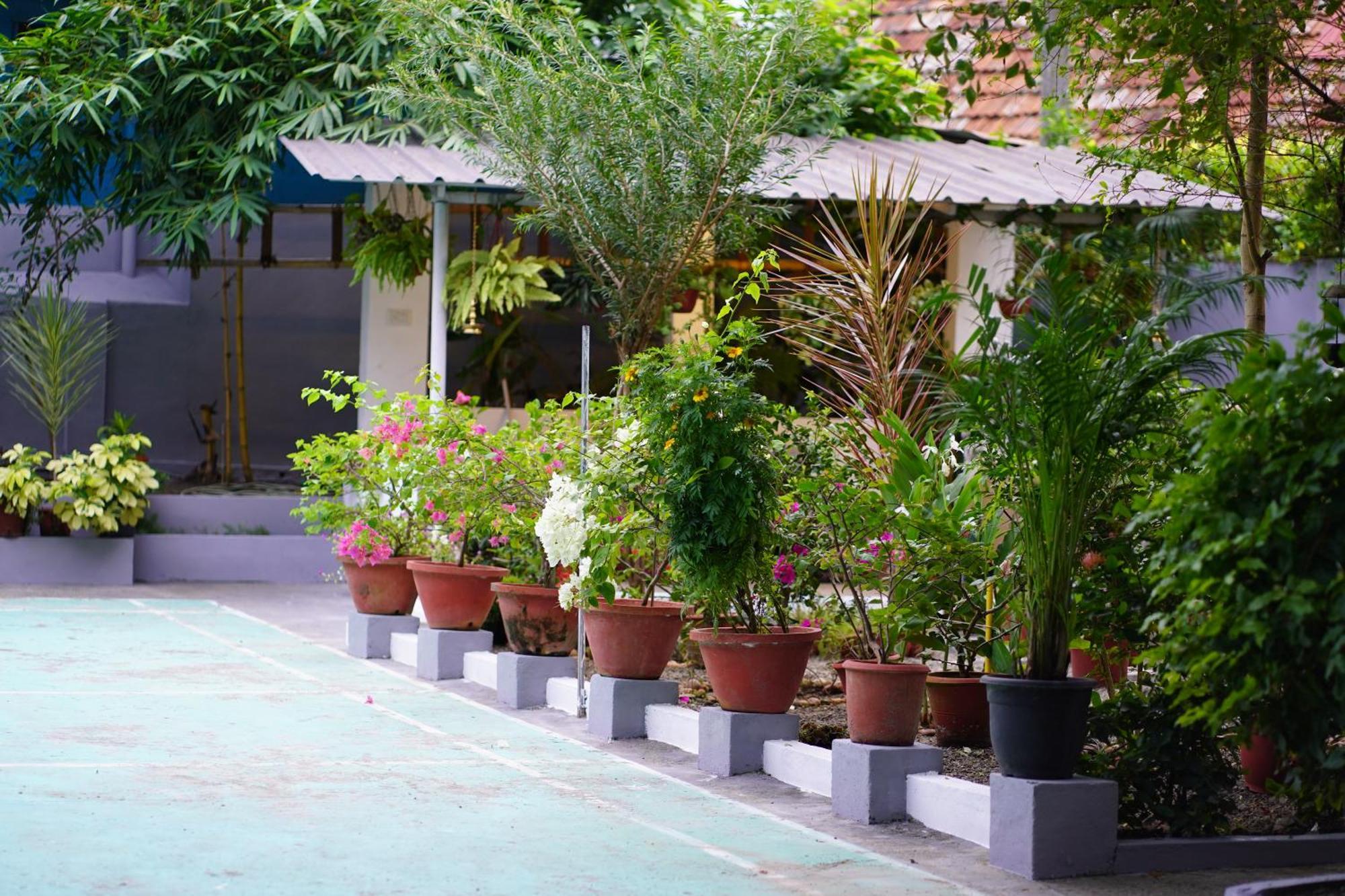 Remasailam Homestay - Thiruvananthapuram , Calm & Blend With Nature Kültér fotó