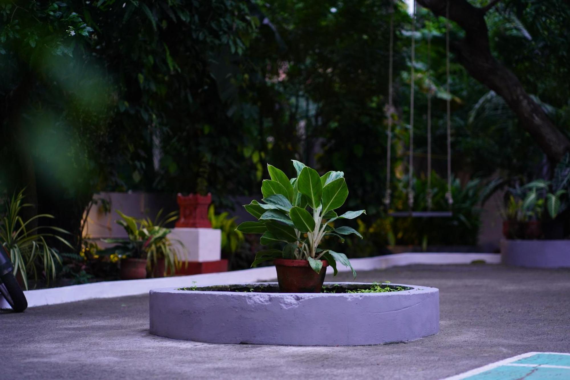 Remasailam Homestay - Thiruvananthapuram , Calm & Blend With Nature Kültér fotó